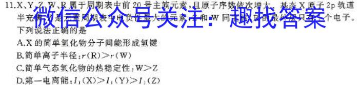 2024年山东省高一阶段性诊断测试(24-491A)化学