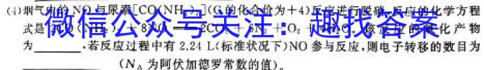 q2024届安徽省九年级重点中学联盟试卷(四)(CZ202c)化学