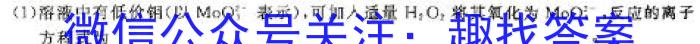 3山西省2024年中考第六次适应性月考化学试题