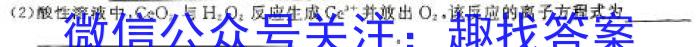 【热荐】2024届北京专家卷高考仿真模拟卷(六)化学