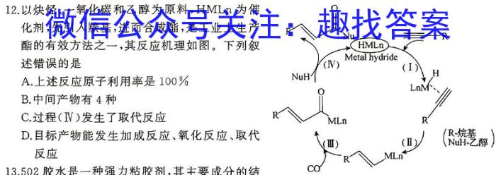 q广东省五粤名校联盟2024届高三第一次联考化学