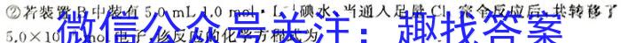 云南省云南师范大学附属中学2024-2025学年高三上学期9月(白白白黑白黑黑)化学