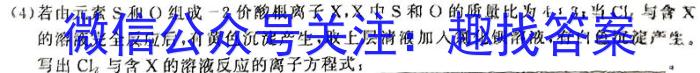 【精品】甘肃省2023-2024学年高二第二学期期中联考试卷化学