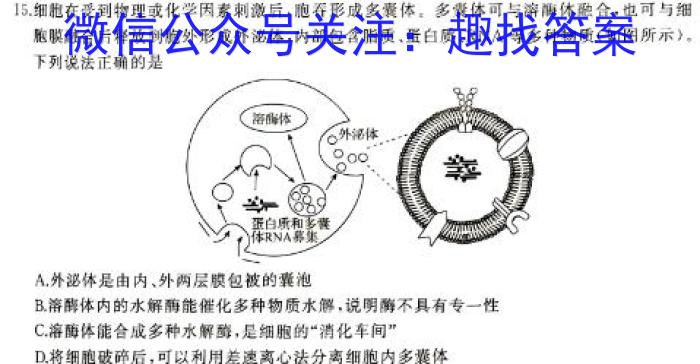 河北省衡水中学2024-2025学年度高二年级上学期第一学期综合素养测评生物学试题答案