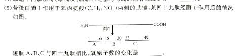 河南省郑州市2023-2024学年第二学期期中质量评估八年级生物学部分