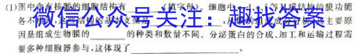 2024年山东省高二阶段性诊断测试(24-491B)生物学试题答案