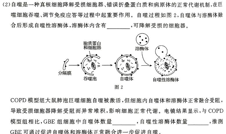 2024届先知高三模拟大联考生物