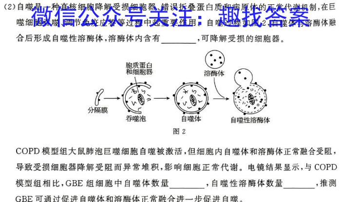 智ZH 河南省2024年中招模拟试卷(二)2生物学试题答案