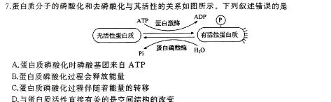 安徽省2024年九年级考前适应性评估(一) 6L生物学部分