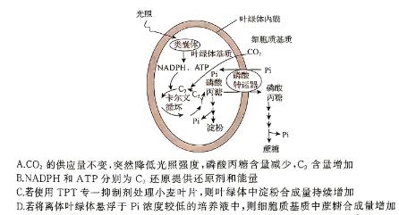 ［上饶一模］上饶市2024届高三年级第一次模拟考试生物学部分