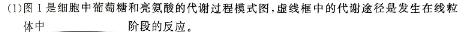 炎德英才大联考长沙一中2024届高三月考试卷（六）生物学部分