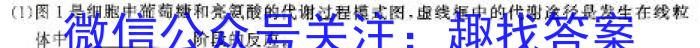 江西省寻乌县2024年初中学业水平模拟考试生物学试题答案