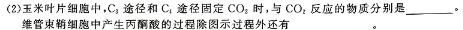 河北省2024年九年级6月模拟（一）生物