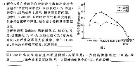 [山西大联考]山西省2023-2024学年第二学期高一年级下学期5月联考（546）生物学部分