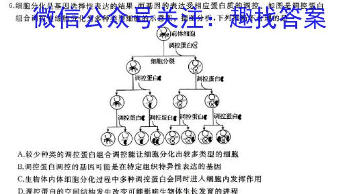 炎德英才 名校联考联合体2025届高三第二次联考生物学试题答案