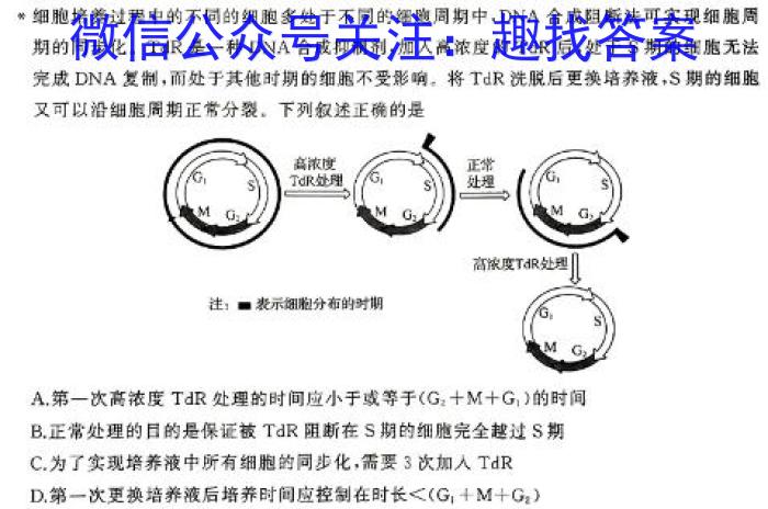 名校之约系列 2024届高三新高考精准备考猜题卷(一)1生物学试题答案