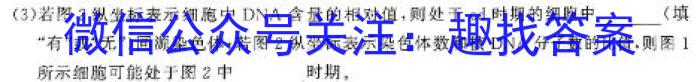 2024届内蒙古高三考试2月联考(24-357C)生物学试题答案