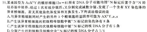 陕西教育联盟2024年高三质量检测卷(三)(243536D)生物