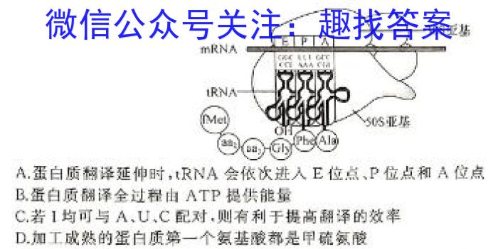 2024届河南省中考导向总复习试卷-中考模拟试卷(二)生物学试题答案