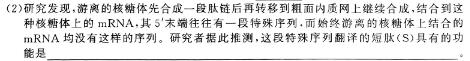 河南省2024年春期六校第二次联考（高一年级）生物
