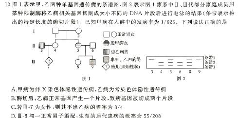 盐城市2024届高三年级考前指导生物