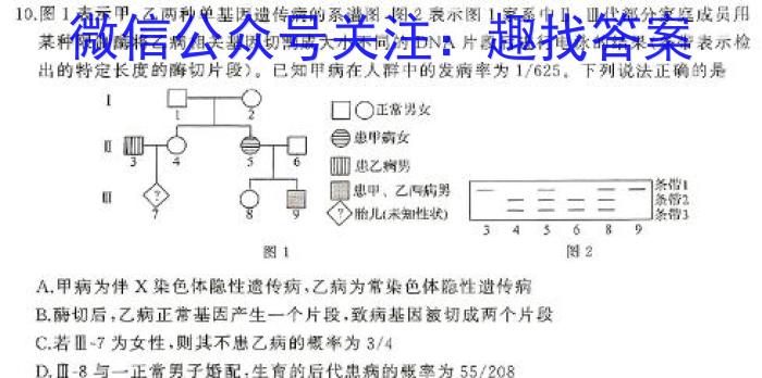 辽宁省沈阳市2023-2024学年度(下)联合体高二期中检测生物学试题答案