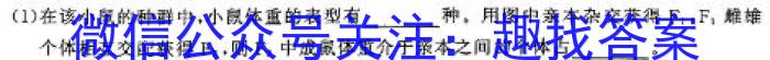 山东省潍坊市2024-2025学年高三开学调研检测考试生物学试题答案