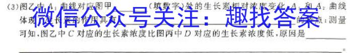 2024届陕西省高三4月联考(心形)生物