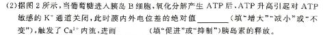 ［合肥三模］安徽省2024届鼎尖名校预测性联考（5.03）生物学部分