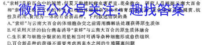 百师联盟 山东省2024-2025高二期中联考生物学试题答案