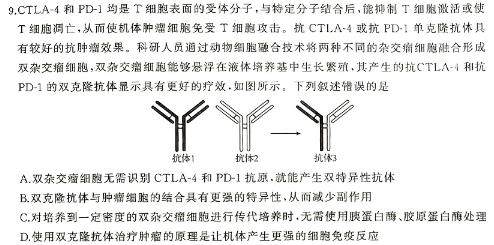 [绥化三模]黑龙江绥化市2024届高三5月联考模拟检测卷生物