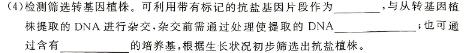 陕西省西安市西光中学教育集团2024-2025学年度第一学期九年级收心考试卷生物