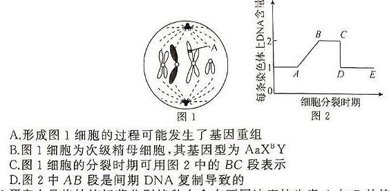 三重教育·2023-2024学年度下学期高一3月联考生物学部分