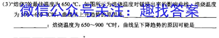 【精品】2024年陕西省初中学业水平考试(SX3)化学