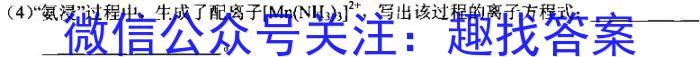 【精品】2024年陕西省初中学业水平考试（SX9）化学
