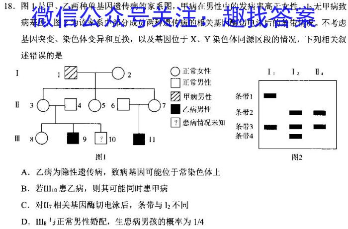 山东省2024届高三适应性考试(2024. 05)生物