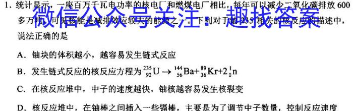 2024年陇南市中考模拟联考卷（一）物理