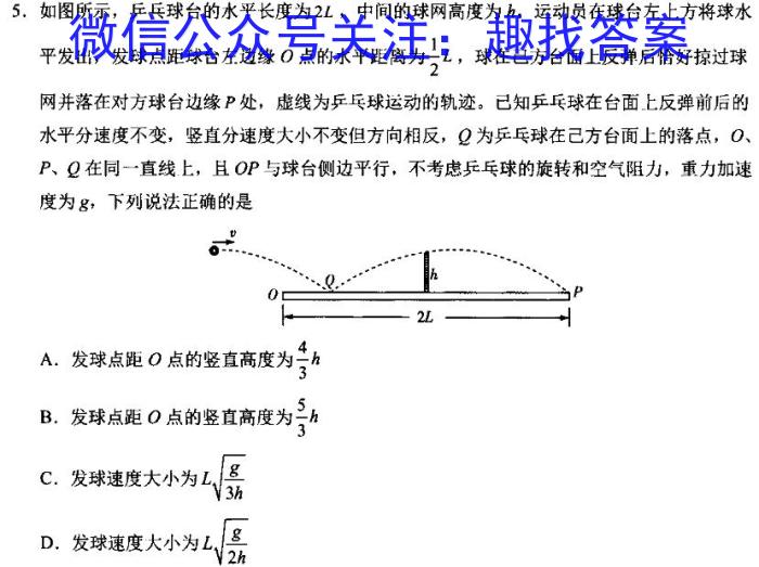 2024年普通高等学校招生全国统一考试 名校联盟·压轴卷(T8联盟)(二)2物理试卷答案