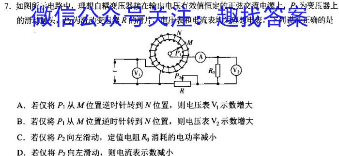 四川省大数据精准教学联盟2024-2025学年高三第一次统一统测物理试题答案