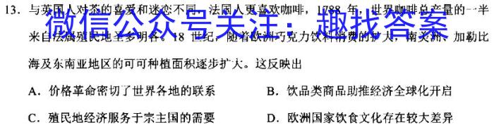 安徽省2024年九年级无标题试卷（4.7）历史试卷答案