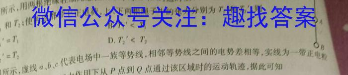 2024年安徽省中考信息押题卷（二）物理试题答案