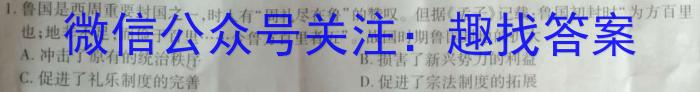 河南省驻马店市2024年春秋九年级第一次适应性测试历史
