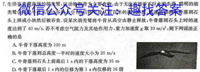 安徽省2024年九年级教学质量检测试题物理`