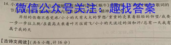 高考快递2024年普通高等学校招生考试押题卷(一)/语文