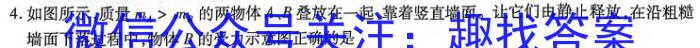 [阳光启学]2024届全国统一考试标准模拟信息卷(六)物理