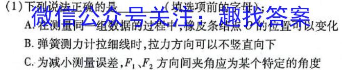 安徽省2024-2025学年上学期七年级开学考试（多标题）物理试题答案