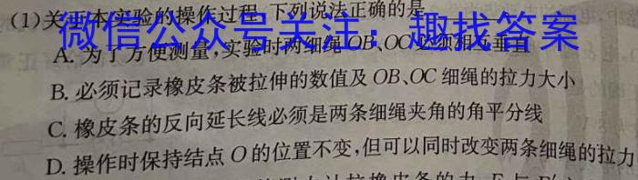 陕西省2024年初中学业水平考试冲刺(二)2物理`