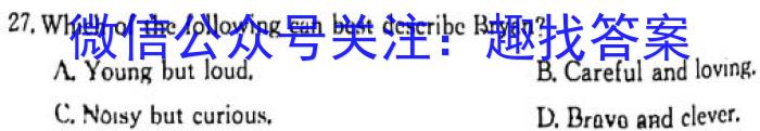 2024年河南省中招备考试卷(十四)英语