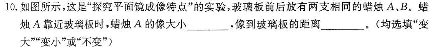 河北省衡水中学2024-2025学年度高二年级上学期第一学期综合素养测评(物理)试卷答案