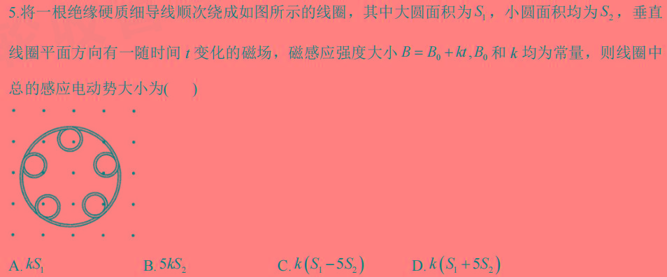 河北省2024年九年级6月模拟(一)(物理)试卷答案